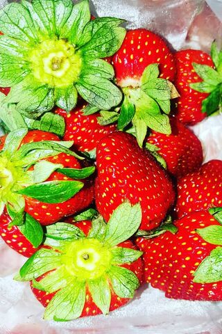 Sweet Strawberry Delight 🍓