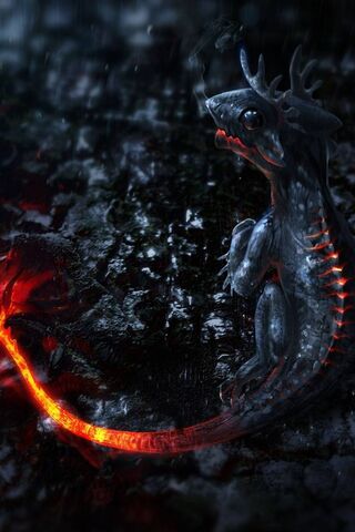 Little Dragon
