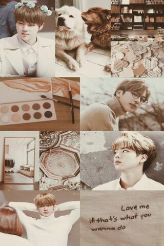 Jin's Aesthetic Vibes �..