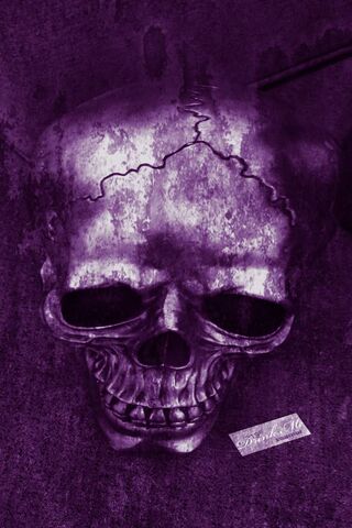 Crâne violet