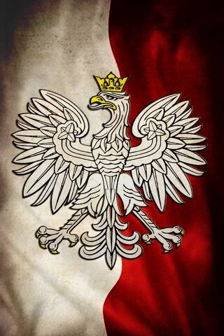 Polska Flaga I Godlo
