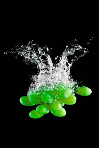Splash of Freshness: Gr..
