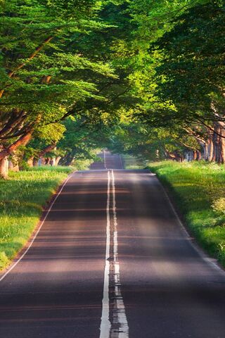 Serenity on the Open Ro..