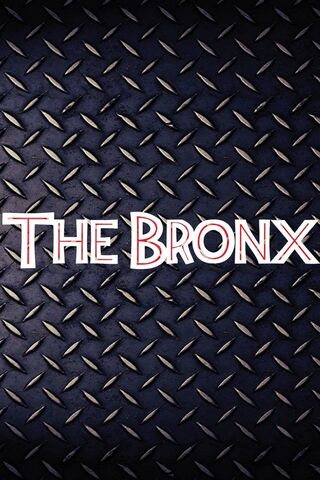 Rhythms of the Bronx 🎶