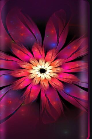 Radiant Bloom: A Dance ..