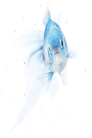 A Splash of Serenity: The Ethereal Fish