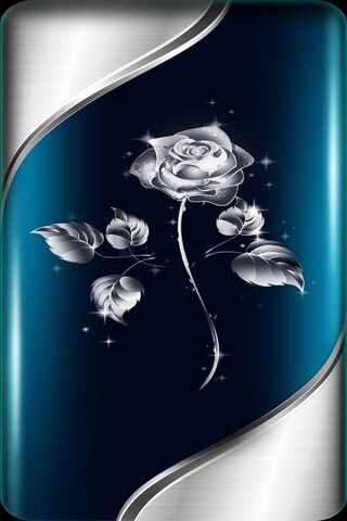 Elegance in Silver: The..
