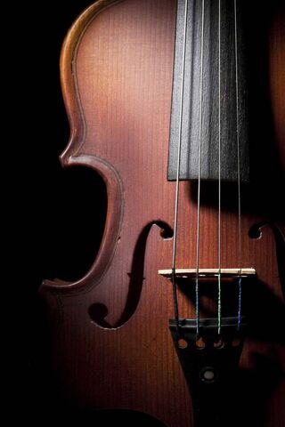 Fall Violin - , Fall Violin Background on Bat, Beautiful Violin HD phone  wallpaper | Pxfuel