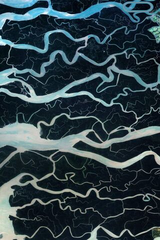 Nature's Intricate Patterns: The S10 Plus Cutout Wall