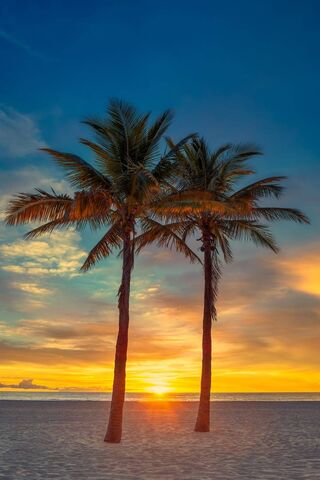 Tropical Serenity: Suns..