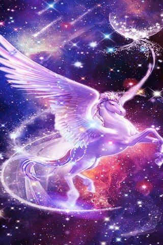 Universe Unicorn