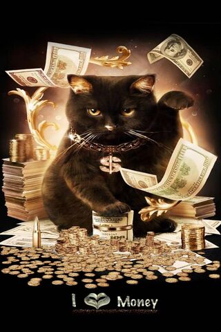 Money Cat Wallpaper - Download to your mobile from PHONEKY