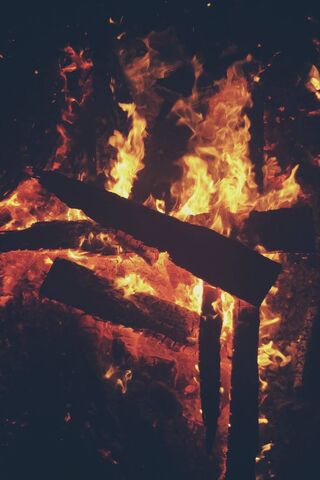 Embers of Warmth: A Cozy Fire Pit Experience 🔥