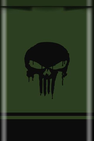 The Quiet Fury: Subdued Punisher