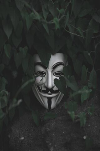 Veil of Secrets: The Mask in the Shadows 🎭🌿