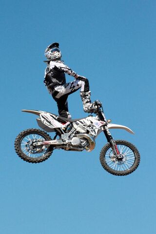 Unleashing Creativity: ..