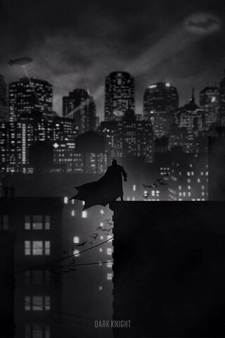 The Dark Knight Rises: ..