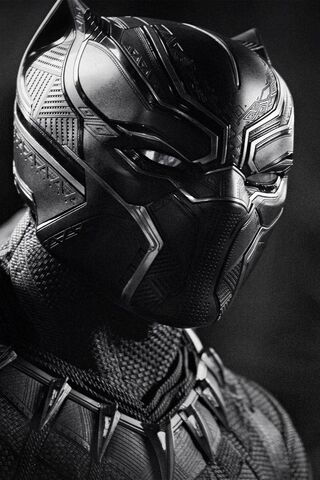 The Silent Guardian of ..