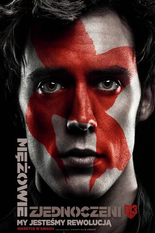 The Enigmatic Finnick: A Journey of Discovery 🌟