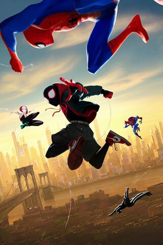 Webs of Infinite Possib..