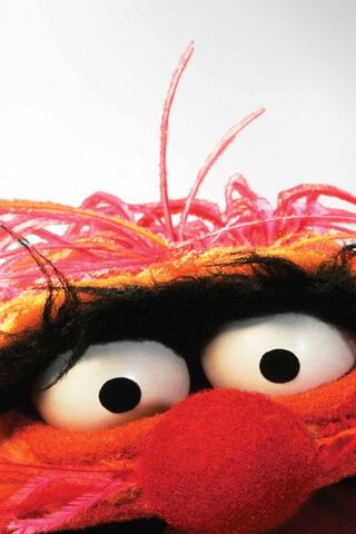 Meet Animal: The Wildest Drummer in Town! 🥁🎉