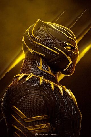 The King of Wakanda: A ..