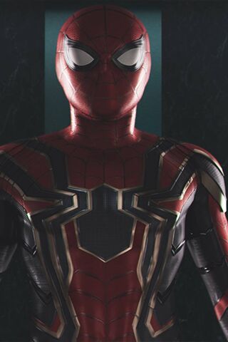 The Iron Spider: A New ..