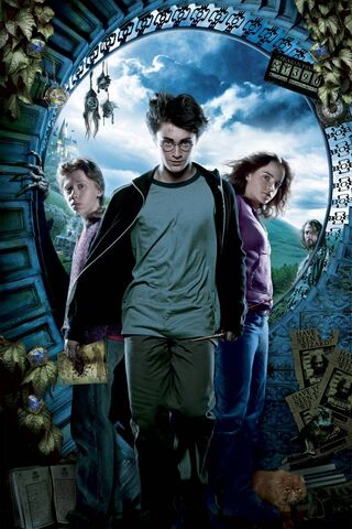 The Trio's Magical Adve..
