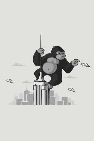 Kong's Skyline Adventur..