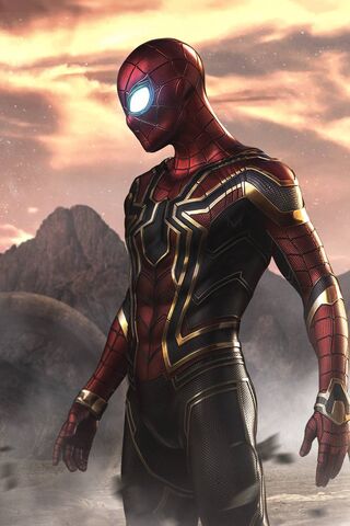 Web-Slinger in Action! ..