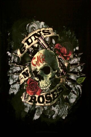 Guns N Roses HD phone wallpaper | Pxfuel