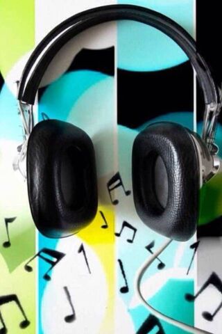 The Harmony of Sound 🎶