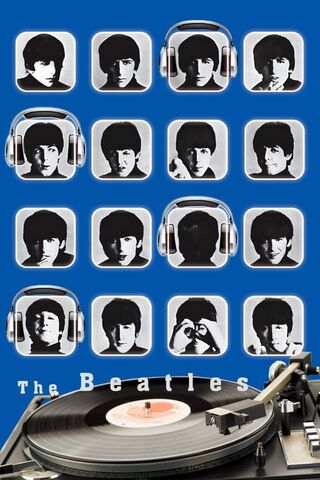 The Beatles Shelf