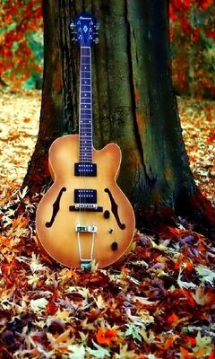 Hd Guitar Wallpaper - Download to your mobile from PHONEKY