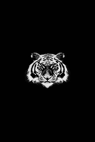 Royal Blood Tiger Wallpaper - Download to your mobile from PHONEKY