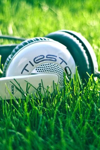 Experience the Beat: Tiesto Headphones 🎧✨