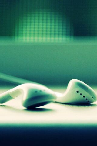 The Harmony of Sound 🎶