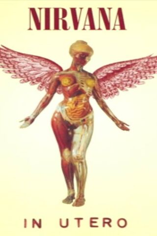 Nirvana In Utero Wallpapers  Wallpaper Cave