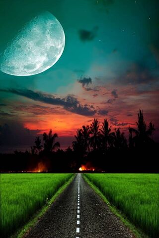 Journey Ahead: The Open..
