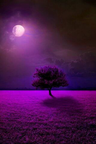 Luz de luna púrpura
