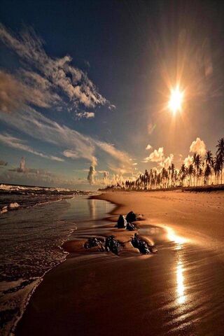 Sunset Coast Beach
