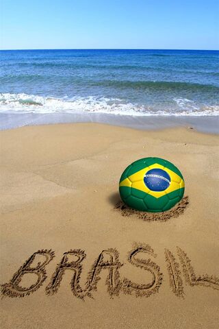 البرازيل 2014