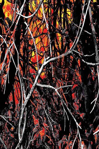 Embers of the Wild: The..