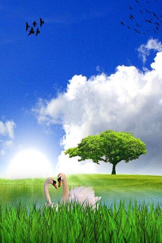 Hd Nature Wallpaper - Download to your mobile from PHONEKY