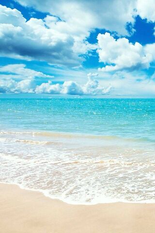 Serene Shores: A High-D..