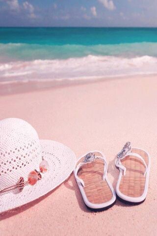 Sunny Shores: A Perfect..