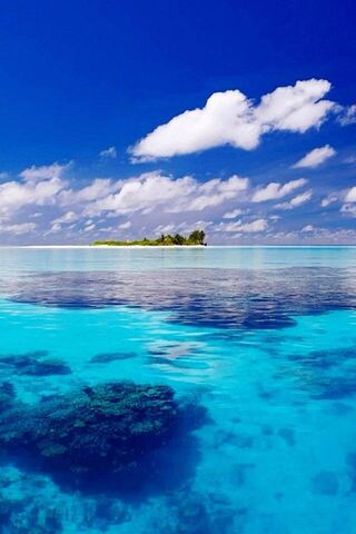 Serenity of the Paradis..