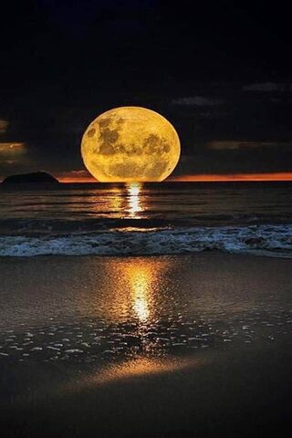 满月和海