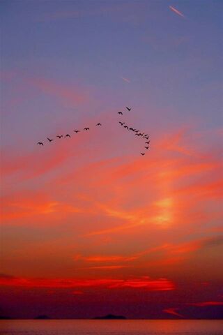 Paysage Romantique Fond D Ecran Telecharger Sur Votre Mobile Depuis Phoneky