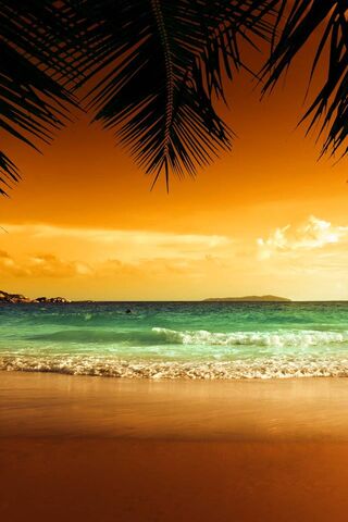 Pantai Tropika
